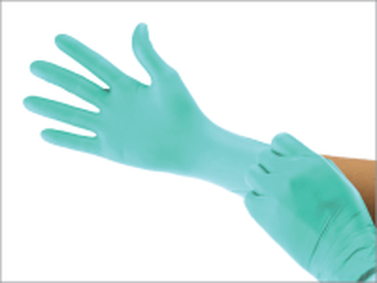 Cranberry CR3029 AquaPrene Chloroprene Examination Gloves Extra Large 200/Box Cranberry CR3029 AquaPrene Chloroprene Examination Gloves Extra Large 200/Box